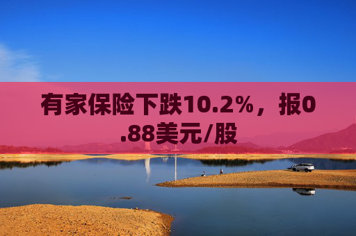 有家保险下跌10.2%，报0.88美元/股  第1张