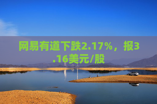 网易有道下跌2.17%，报3.16美元/股