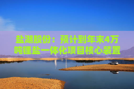 盐湖股份：预计到年末4万吨锂盐一体化项目核心装置将建成  第1张