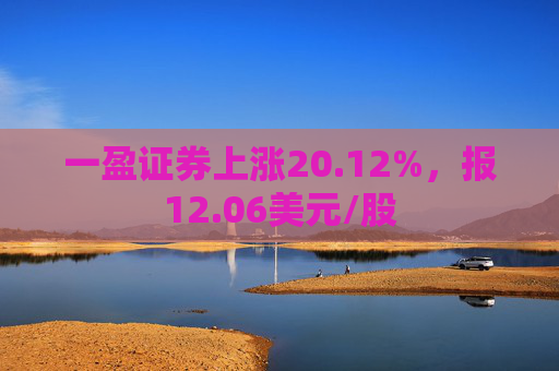 一盈证券上涨20.12%，报12.06美元/股