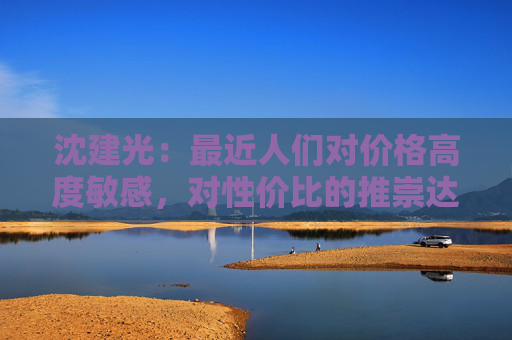 沈建光：最近人们对价格高度敏感，对性价比的推崇达到极致