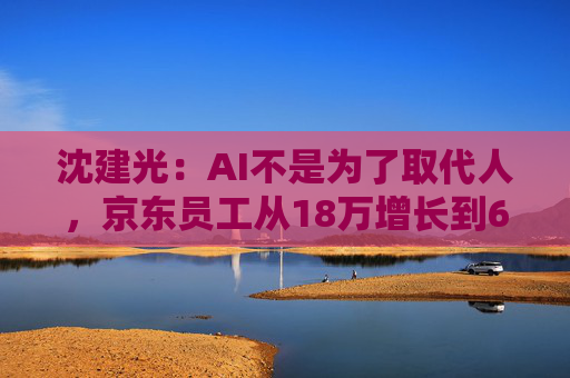 沈建光：AI不是为了取代人，京东员工从18万增长到62万人  第1张