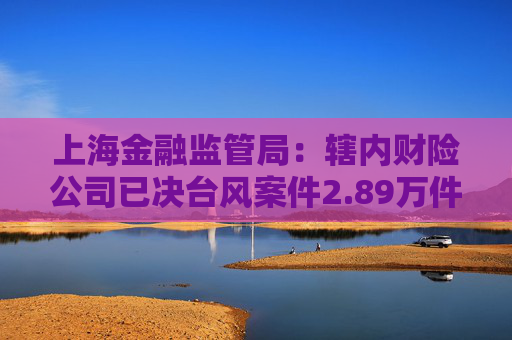 上海金融监管局：辖内财险公司已决台风案件2.89万件 已决赔款1.15亿元