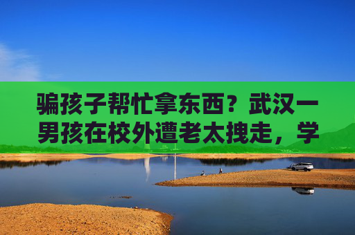 骗孩子帮忙拿东西？武汉一男孩在校外遭老太拽走，学校：初查或为精神障碍孤独老人