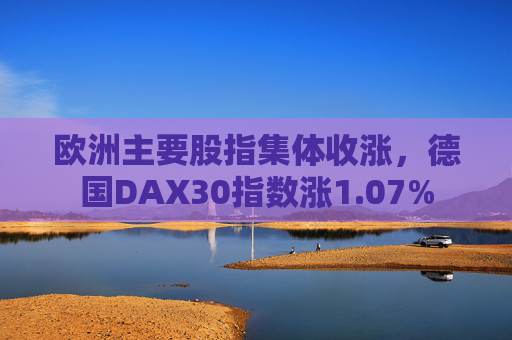 欧洲主要股指集体收涨，德国DAX30指数涨1.07%  第1张