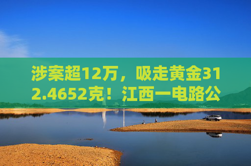 涉案超12万，吸走黄金312.4652克！江西一电路公司员工获刑