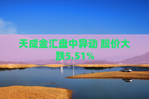 天成金汇盘中异动 股价大跌5.51%  第1张