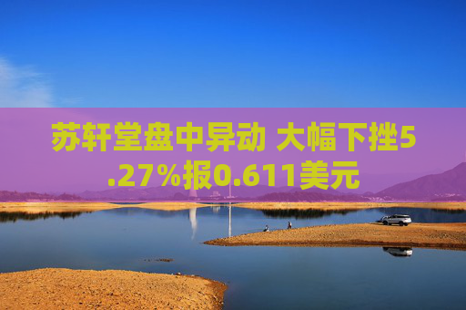 苏轩堂盘中异动 大幅下挫5.27%报0.611美元  第1张