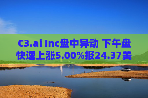 C3.ai Inc盘中异动 下午盘快速上涨5.00%报24.37美元