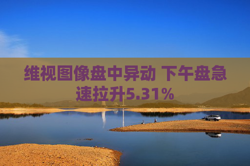 维视图像盘中异动 下午盘急速拉升5.31%