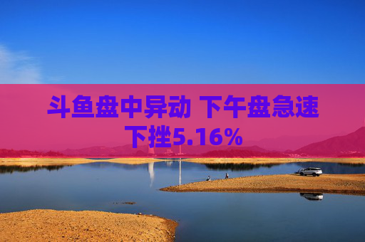 斗鱼盘中异动 下午盘急速下挫5.16%