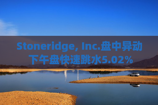 Stoneridge, Inc.盘中异动 下午盘快速跳水5.02%