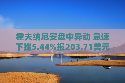 霍夫纳尼安盘中异动 急速下挫5.44%报203.71美元  第1张