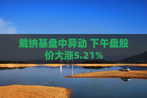 戴纳基盘中异动 下午盘股价大涨5.21%  第1张