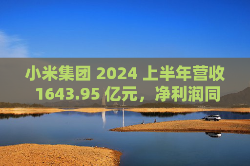 小米集团 2024 上半年营收 1643.95 亿元，净利润同比增长 17.86%