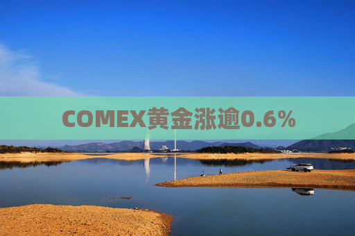 COMEX黄金涨逾0.6%