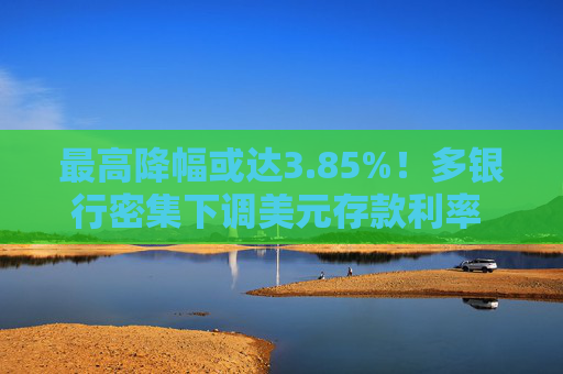 最高降幅或达3.85%！多银行密集下调美元存款利率 业内坦言相关理财产品收益承压  第1张