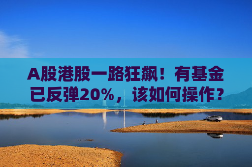 A股港股一路狂飙！有基金已反弹20%，该如何操作？