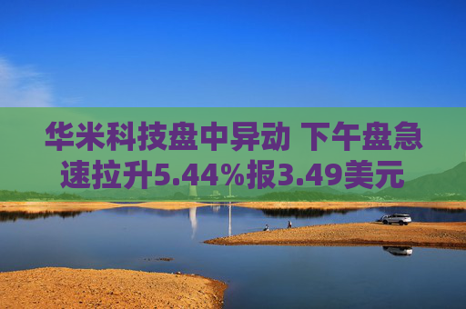 华米科技盘中异动 下午盘急速拉升5.44%报3.49美元  第1张