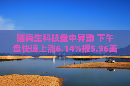 脑再生科技盘中异动 下午盘快速上涨6.14%报5.96美元  第1张