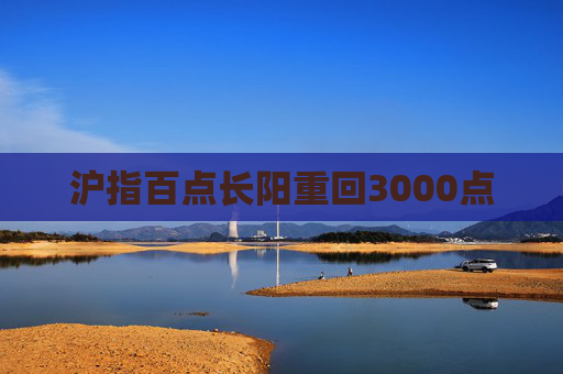 沪指百点长阳重回3000点