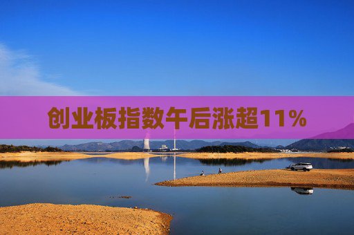 创业板指数午后涨超11%