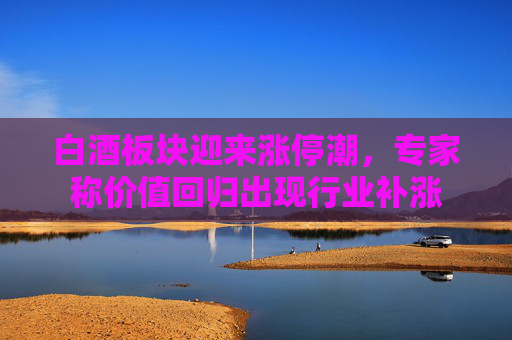 白酒板块迎来涨停潮，专家称价值回归出现行业补涨