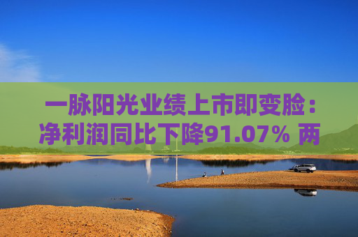 一脉阳光业绩上市即变脸：净利润同比下降91.07% 两主营业务均显增长疲态  第1张