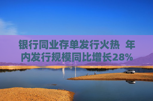 银行同业存单发行火热  年内发行规模同比增长28% 第1张