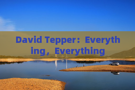 David Tepper：Everything，Everything  第1张