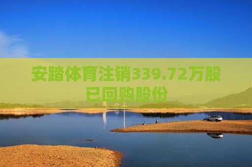 安踏体育注销339.72万股已回购股份  第1张