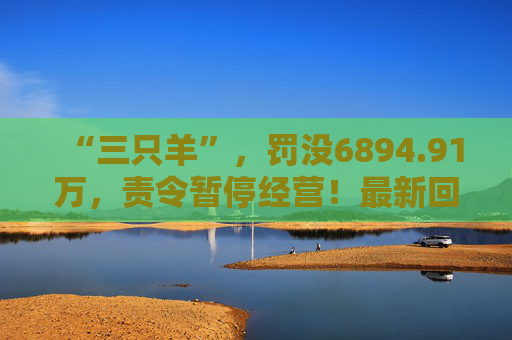 “三只羊”，罚没6894.91万，责令暂停经营！最新回应  第1张