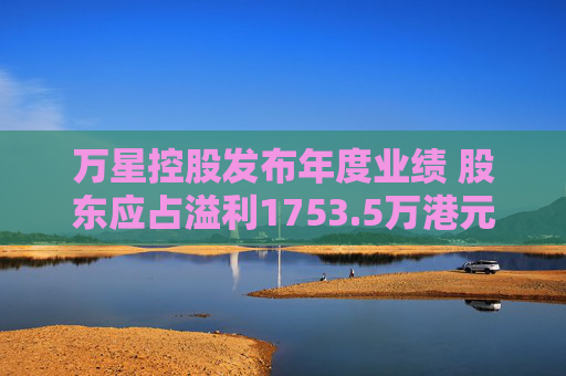 万星控股发布年度业绩 股东应占溢利1753.5万港元同比扭亏为盈