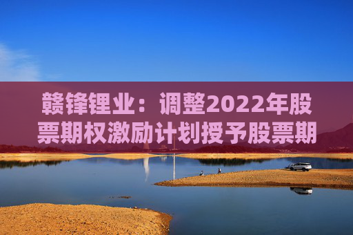 赣锋锂业：调整2022年股票期权激励计划授予股票期权行权数量  第1张