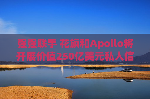 强强联手 花旗和Apollo将开展价值250亿美元私人信贷交易  第1张