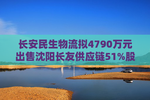 长安民生物流拟4790万元出售沈阳长友供应链51%股权  第1张