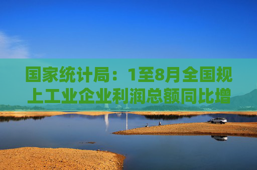 国家统计局：1至8月全国规上工业企业利润总额同比增长0.5%  第1张