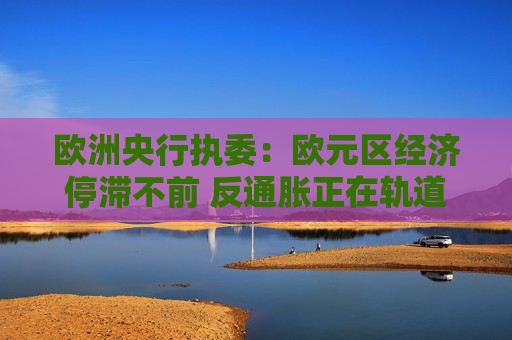 欧洲央行执委：欧元区经济停滞不前 反通胀正在轨道上