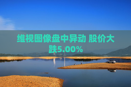 维视图像盘中异动 股价大跌5.00%