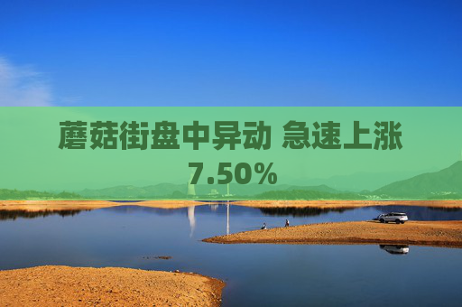 蘑菇街盘中异动 急速上涨7.50%  第1张