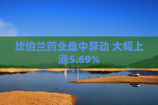 坎伯兰药业盘中异动 大幅上涨5.69%