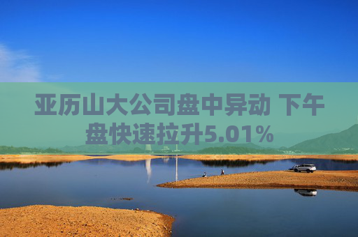 亚历山大公司盘中异动 下午盘快速拉升5.01%  第1张