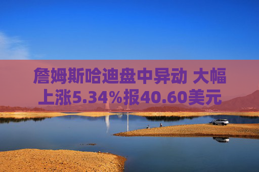 詹姆斯哈迪盘中异动 大幅上涨5.34%报40.60美元