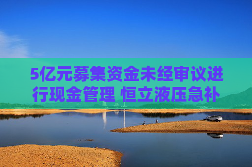 5亿元募集资金未经审议进行现金管理 恒立液压急补“漏洞”  第1张