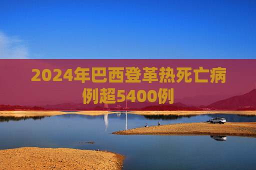 2024年巴西登革热死亡病例超5400例