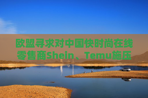 欧盟寻求对中国快时尚在线零售商Shein、Temu施压  第1张