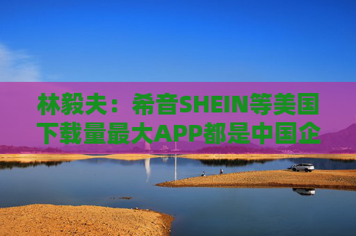 林毅夫：希音SHEIN等美国下载量最大APP都是中国企业所拥有的  第1张