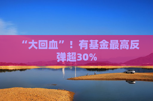 “大回血”！有基金最高反弹超30%