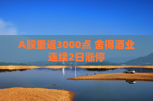 A股重返3000点 舍得酒业连续2日涨停  第1张