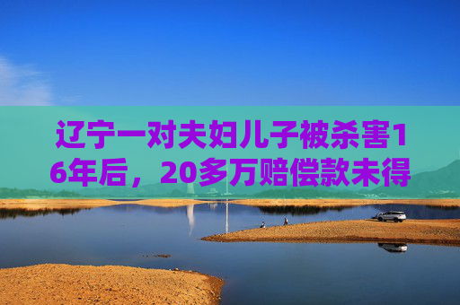 辽宁一对夫妇儿子被杀害16年后，20多万赔偿款未得到执行，获4.5万司法救助